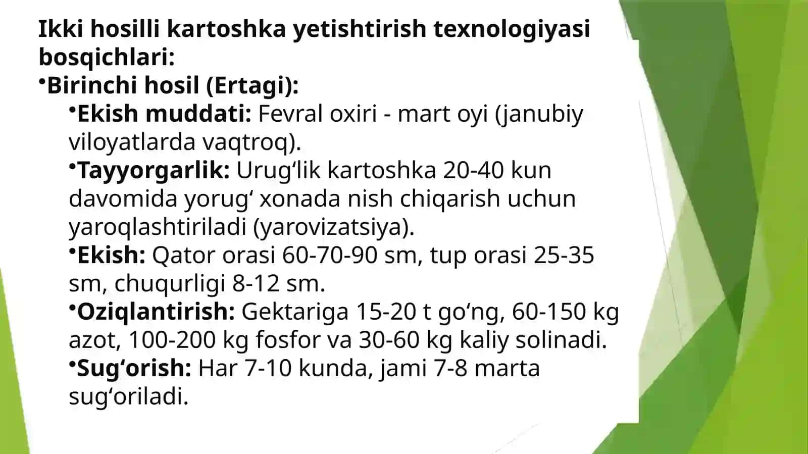 Ikki hosilli kartoshka yetishtirish texnologiyasi 3