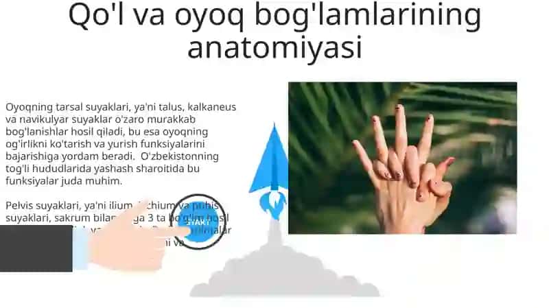 Qo’l, oyoq va chanoq suyaklarining funktsional anatomiyasi 3