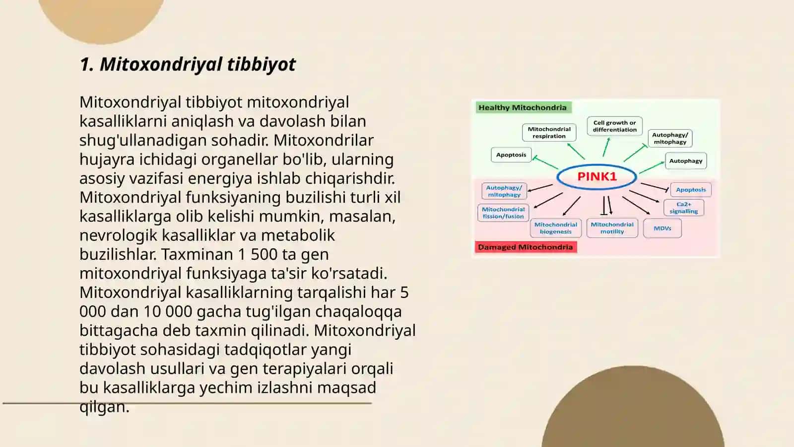 Mitohondrial kasalliklar 3
