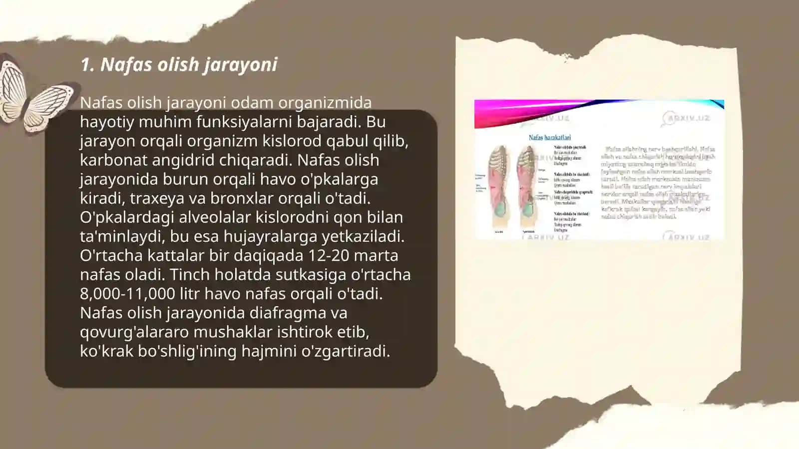 Nafas sistemasi.Nafas haqida umumiy tushuncha 3