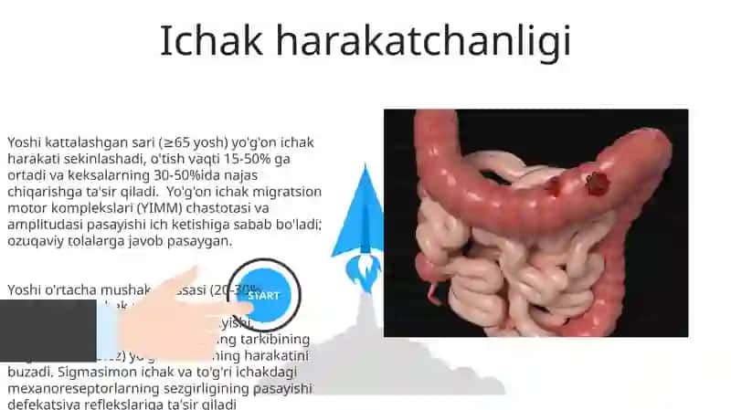 ovqat hazm qilish azolarining yosh xususiyatlari 3