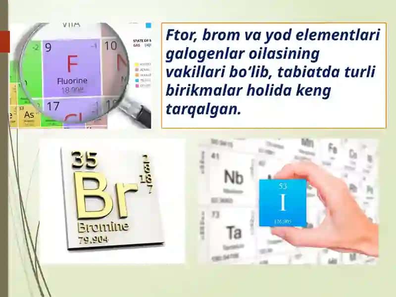 GALOGENLAR 3