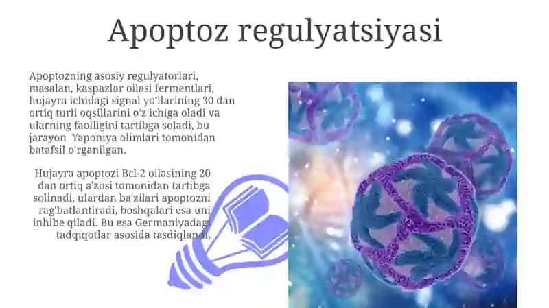 Hujayra appoptozi va uning giologik ahamiyati 3