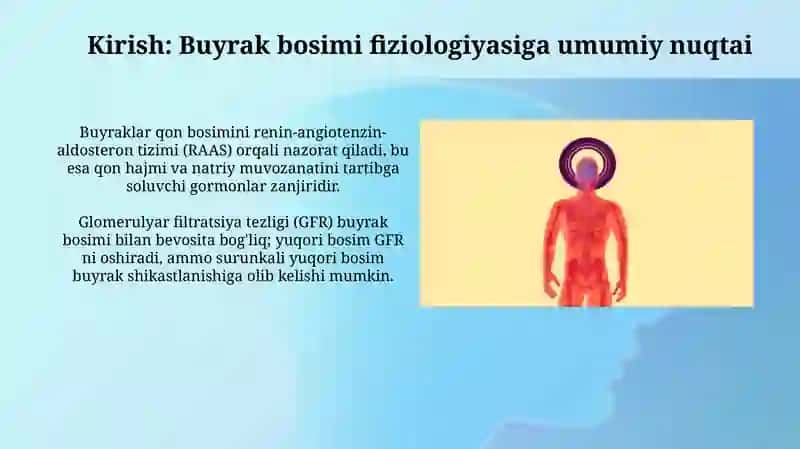 Buyraklar bosimi fiziologiyasi 3