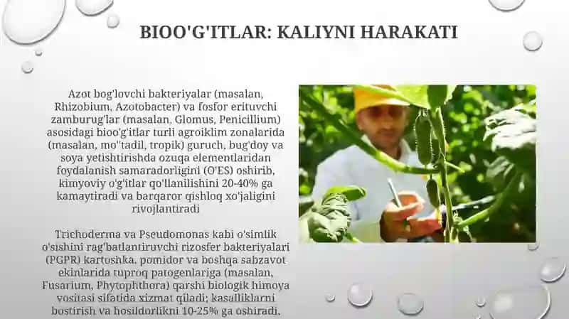 Biopestisidlar va Mikrobiologik nazorat 3