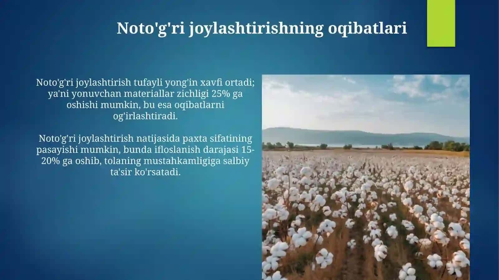 Paxtani g‘aram maydoniga joylash tartibi 3