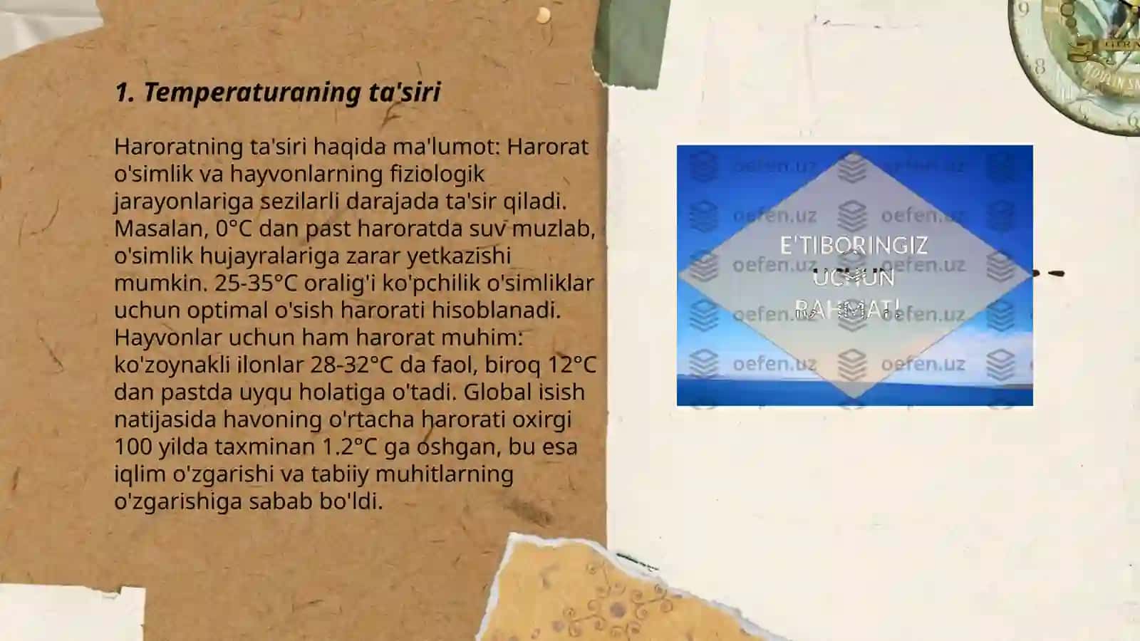Biokimyoviy jarayonlar tezligiga ta'sir etuvchi omillar 3