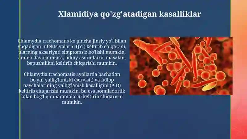Xlamidiya va Mikoplazma: Qo'zg'atuvchilar, Kasalliklar va Tarqalish 3