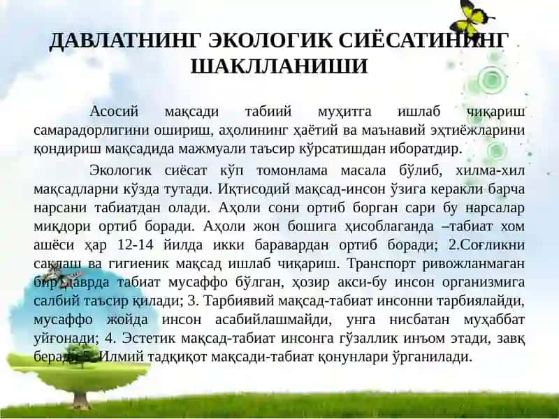 Davlatning tabiiy rеsurslardan foydalanish jarayonlarini tartibga solishi va ekologiya sohasidagi siyosati 3