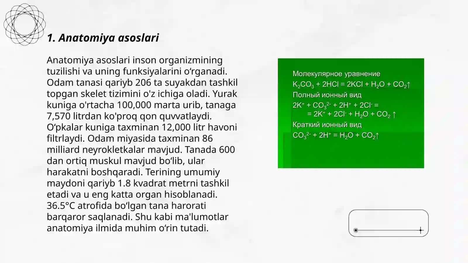 Tibbiy bilim asoslari mashgulotlari uchun moʻljallangan tabeli buyumlar oʻquv va koʻrgazmali qurollar 3
