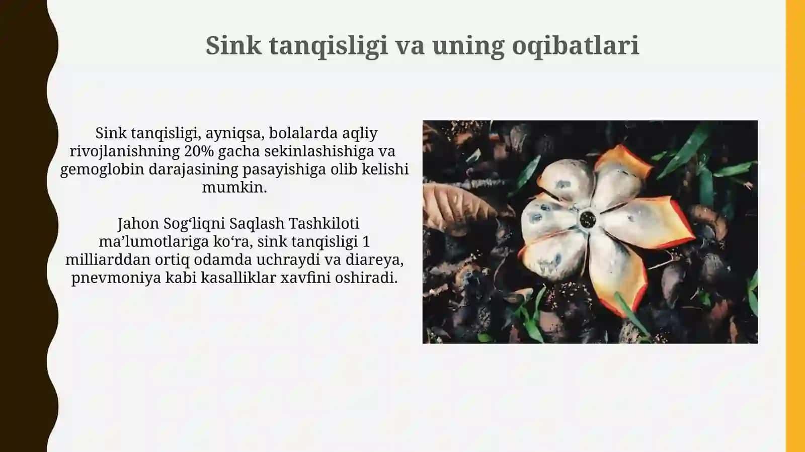 Biogen elementlar atrof muhitidagi elementlar konsentiratsiyasi bn bogʻliq endemik kasalliklar 3