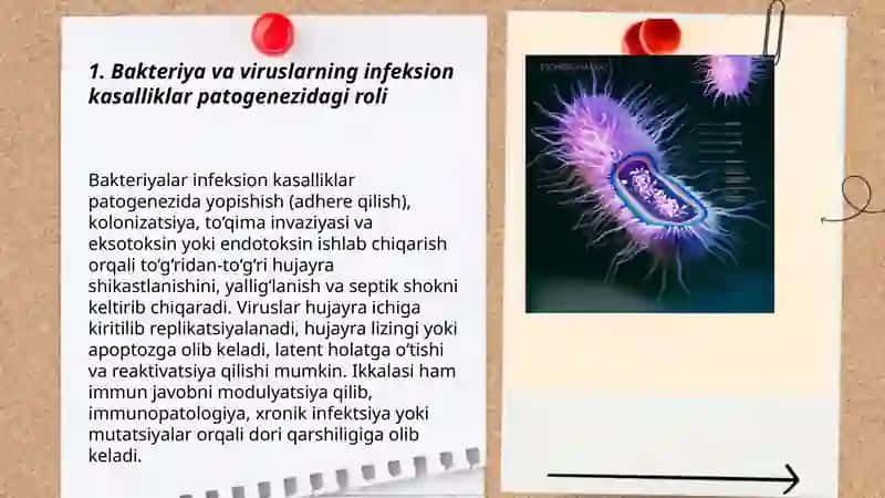 Bakteriya va viruslarning tibbiyotdagi ahamiyati 3