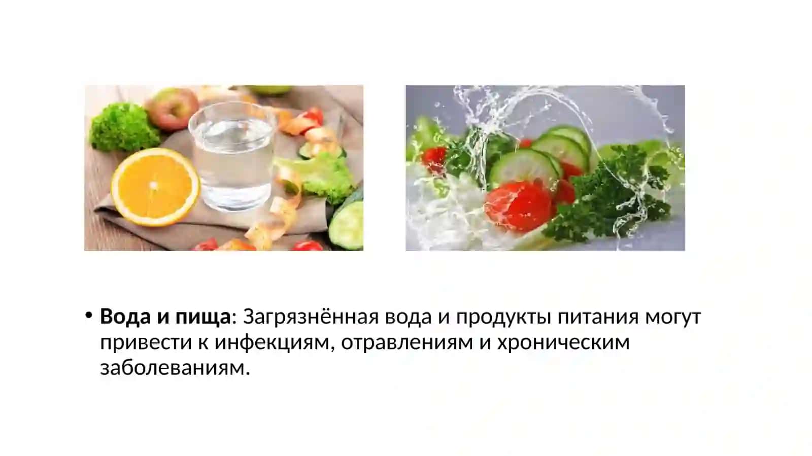 Зависимость здоровья человека от окружающей среды 3