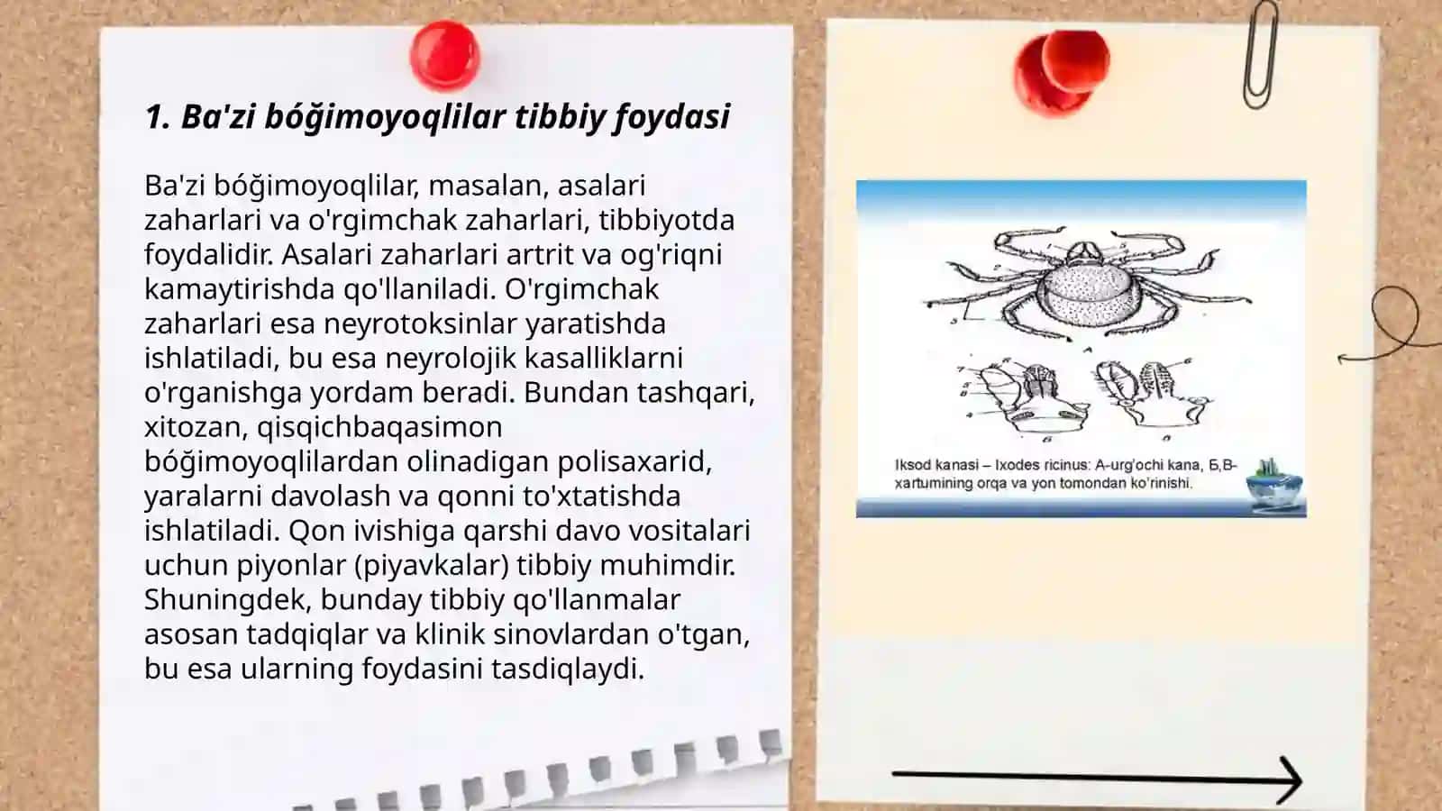 Ba'zi bóğimoyoqlilarning tibbiy ahamiyati. Zararli hayvonlar 3