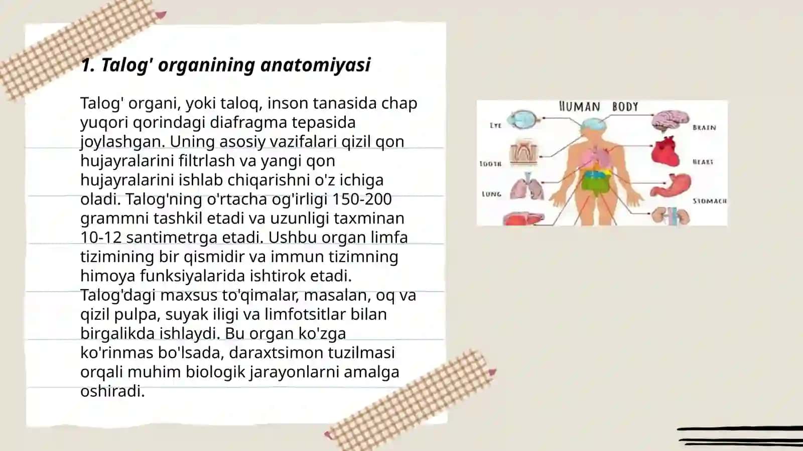 Taloq organi va uning fiziologik xususiyatlari 3