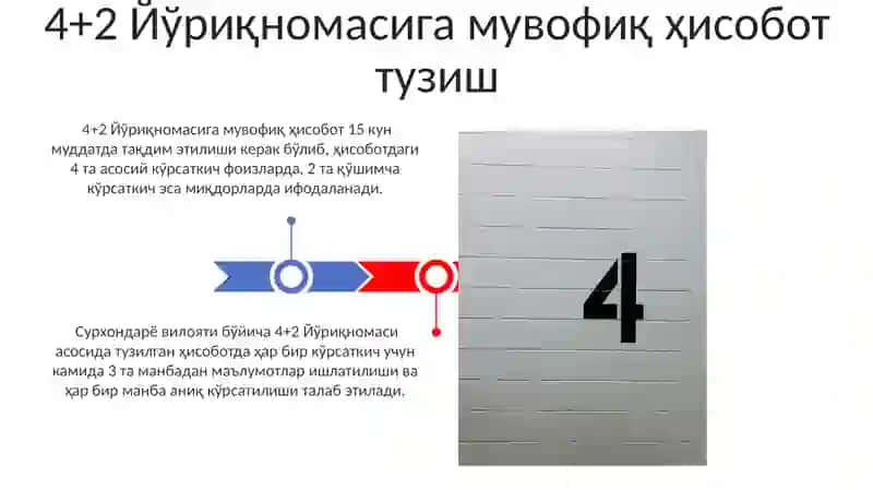 4+2 Йўриқномаси бўйича Ҳисобот 3