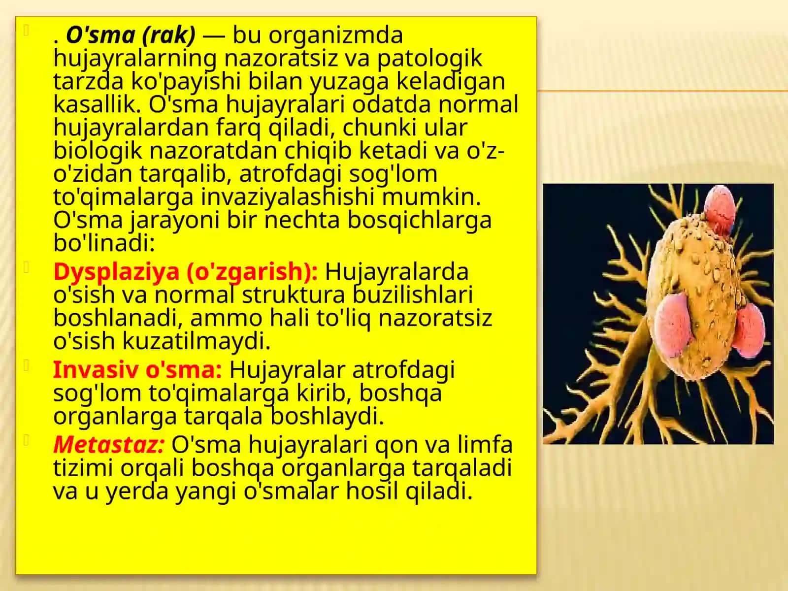 O’smadan muhofazalanishning immun mexanizmlari 3