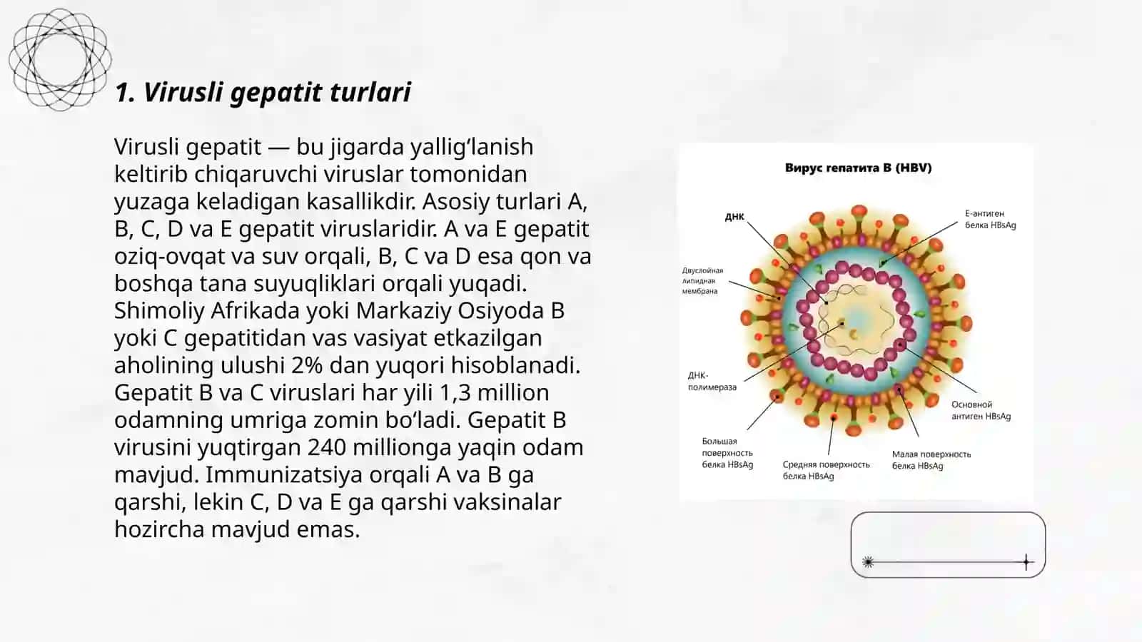 Virusli gepatit 3