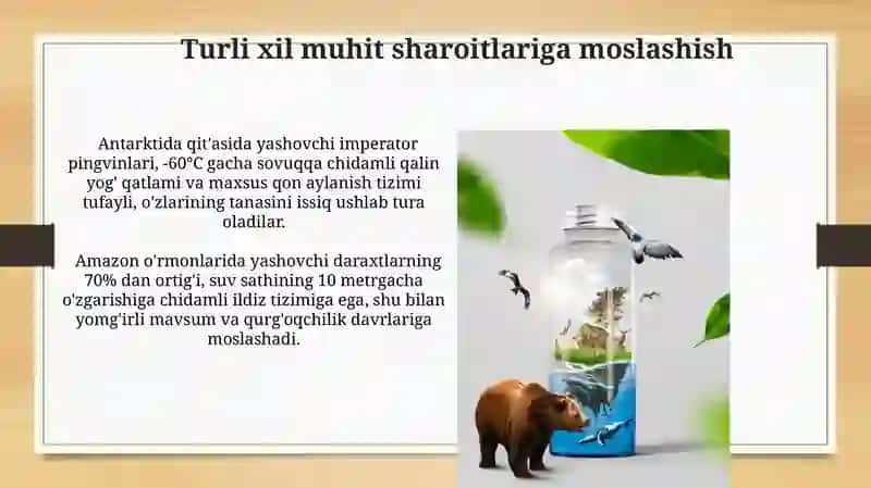 Qoplamalar dunyosi orasida organizmlarning ozaro munosabatlari va ularning tarqalishini o'rganish 3