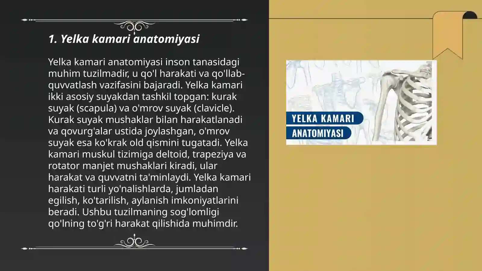 Yelka kamari va qoʻl erkin qismi suyaklarining birlashuvi 3