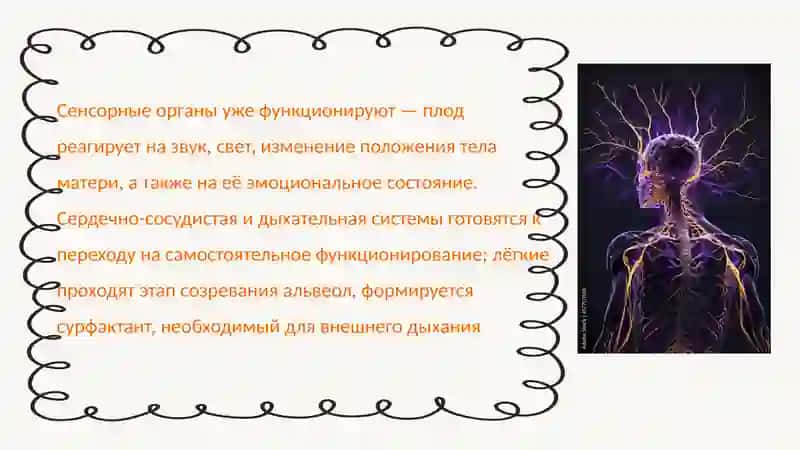 Особенности психофизиологического развития в перинатальном и новорожденном возрасте. Комплекс оживле 3