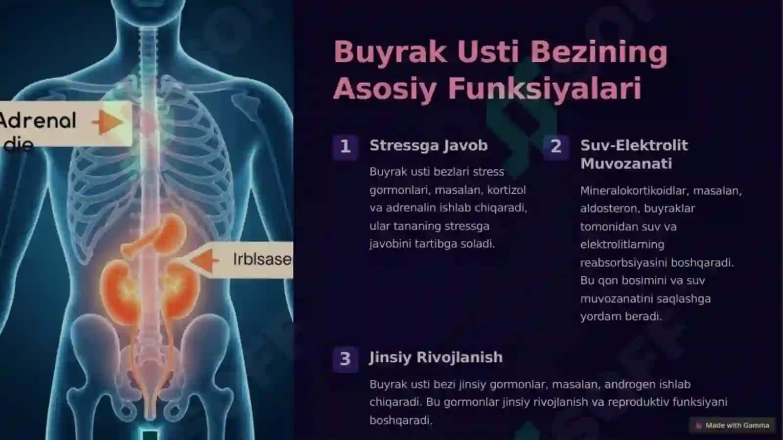 BUYRAK USTI BEZINING GORMONAL     FAOLIYATI BUZILGAN BEMORLARDA  KUZATILADIGAN O‘ZGARISHLARNI KENG    QAMROVLI BAHOLASH 3