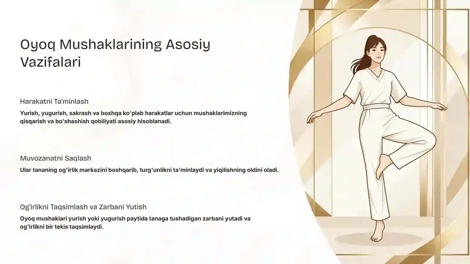 Oyoq Mushaklarining Vazifalari: Harakat va Barqarorlik Kaliti 3