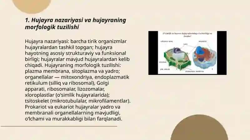 Hujayra va uning organellalarining morfologik jihatdan tuzilmaviy asoslari 3