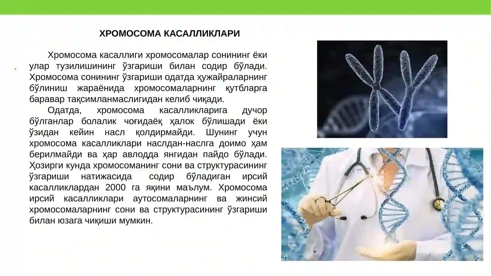 Ирсий касалликлар 3