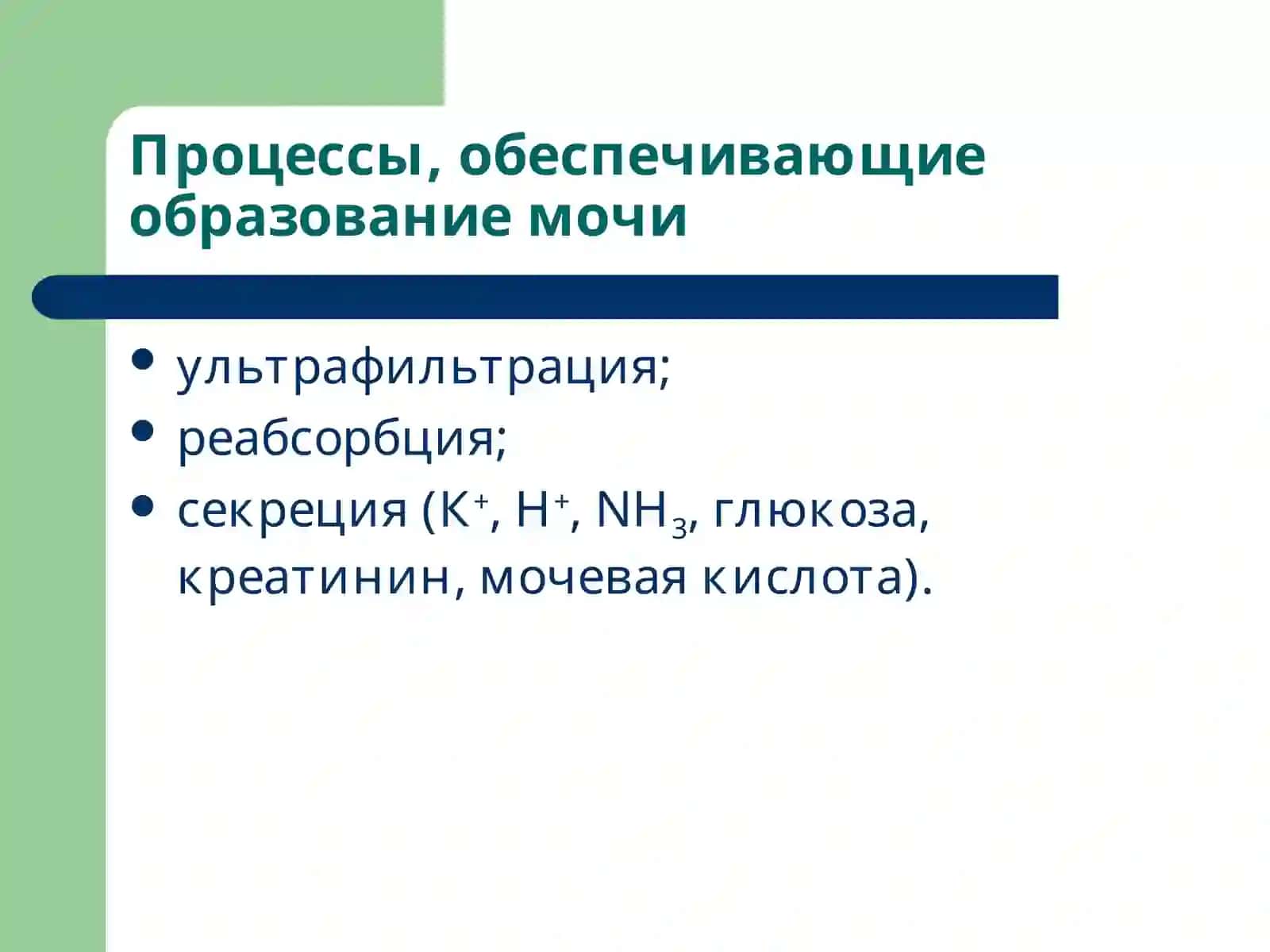 Патофизиология почек 3