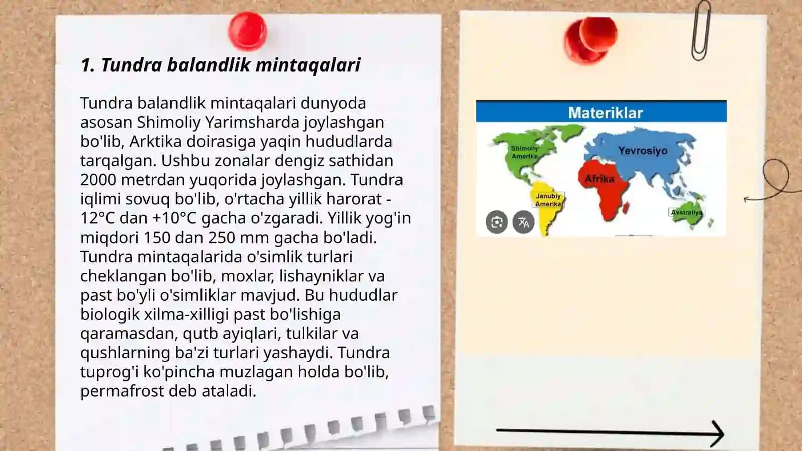 Materiklarda shakllangan balandlik mintaqalari 3
