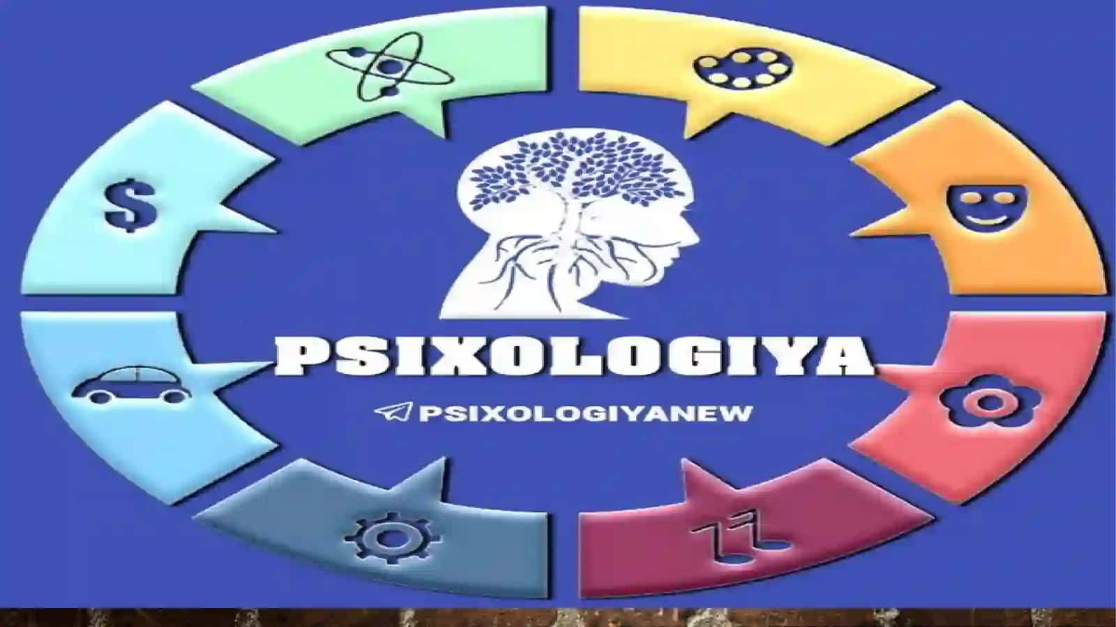Salaydinov Shoxjahonning Psixologiya fanidan tayyorlagan operesentatsiyasi 3