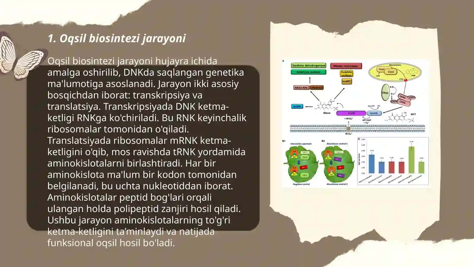 Oqsil biosintezi 3