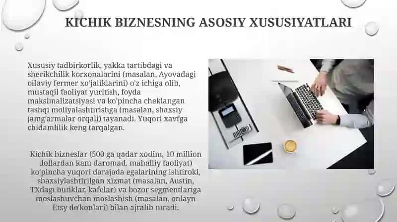 Kichik biznes va xususiy tadbirkorlik faoliyatining mohiyati va mazmuni 3