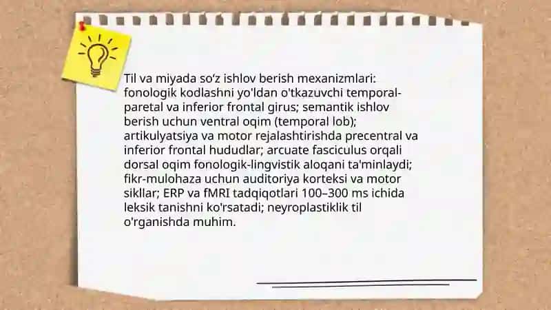 Til va miyada so‘z ishlov berish mexanizmlari 3