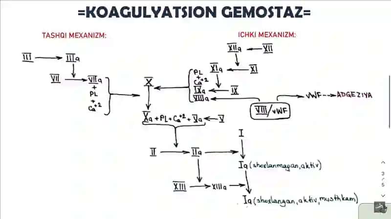 Koagulyatsion gomeostaz buzilishlari 3