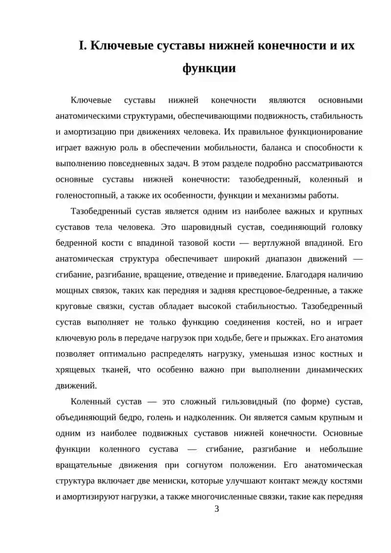 Ключевые суставы нижней конечности и их функции 3