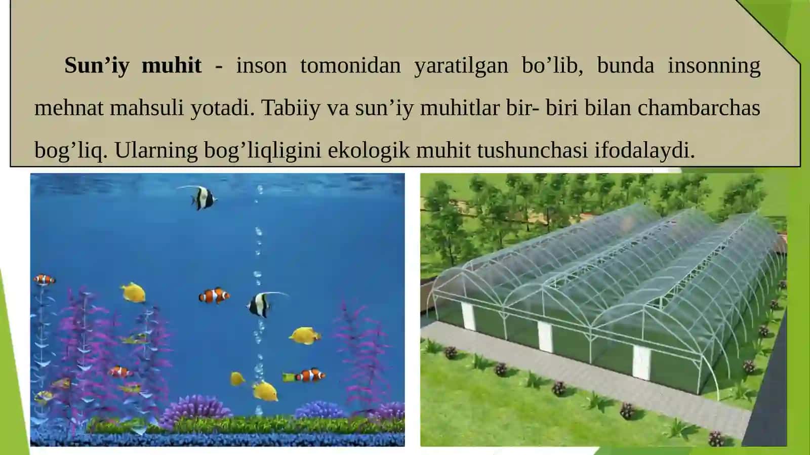 Ekologik omillar va ekologik tizimlar 3