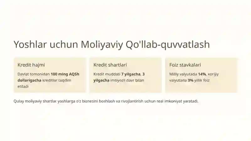 Yoshlar Tadbirkorligini Qo'llab-Quvvatlash Dasturlari: Kelajakni Qurish 3