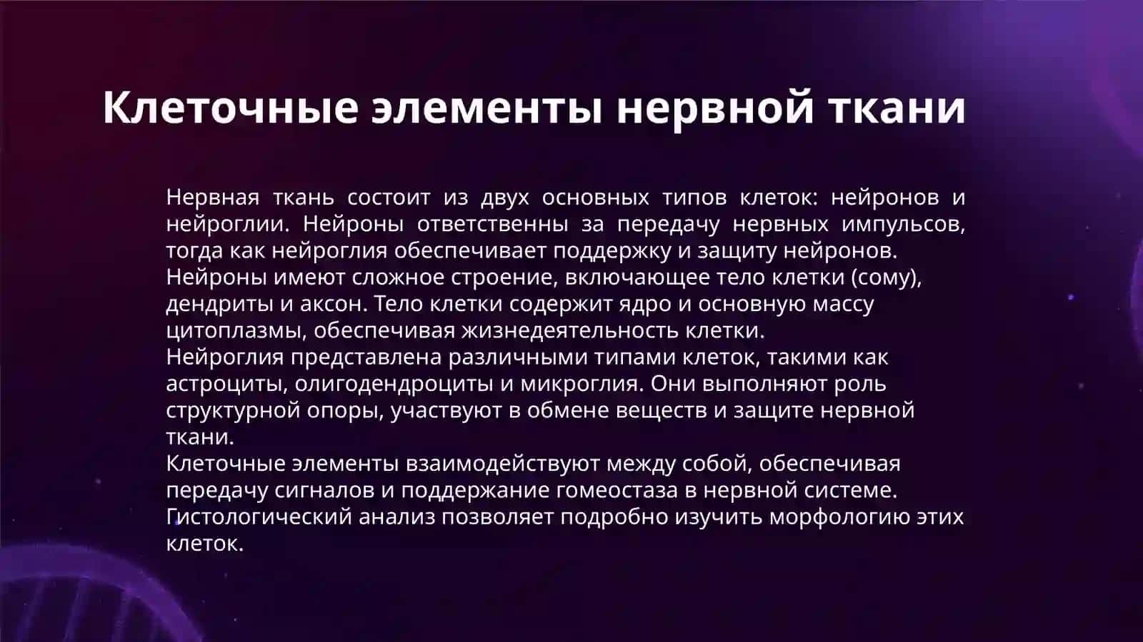 НЕРВНАЯ ТКАНЬ. НЕРВНЫЕ ОКОНЧАНИЯ, СИНАПСЫ, НЕРВНЫЕ ВОЛОКНА ГИСТОЛОГИЧЕСКИЙ АНАЛИЗ 3