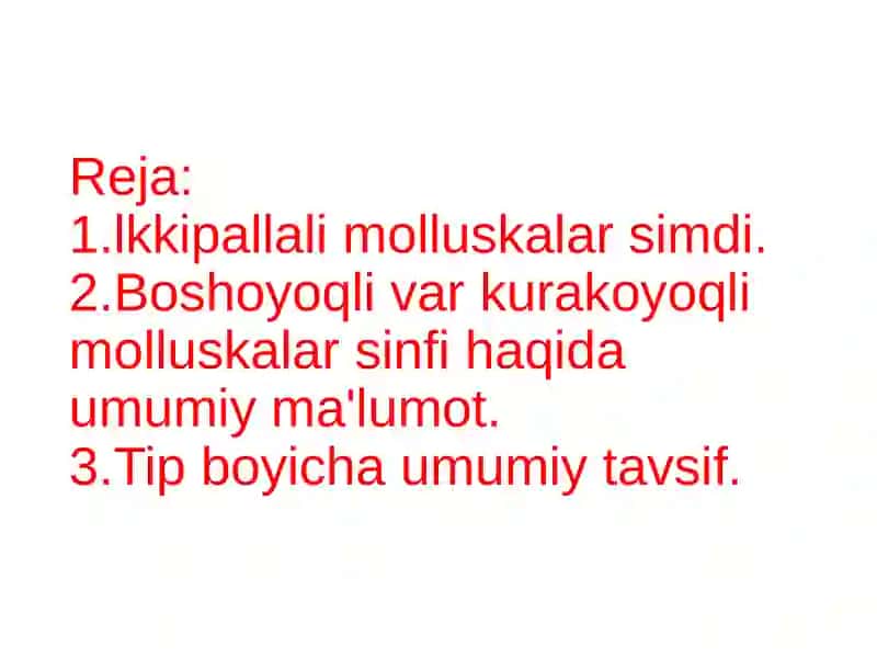 Moluskalar tipi (Mollusca) 3