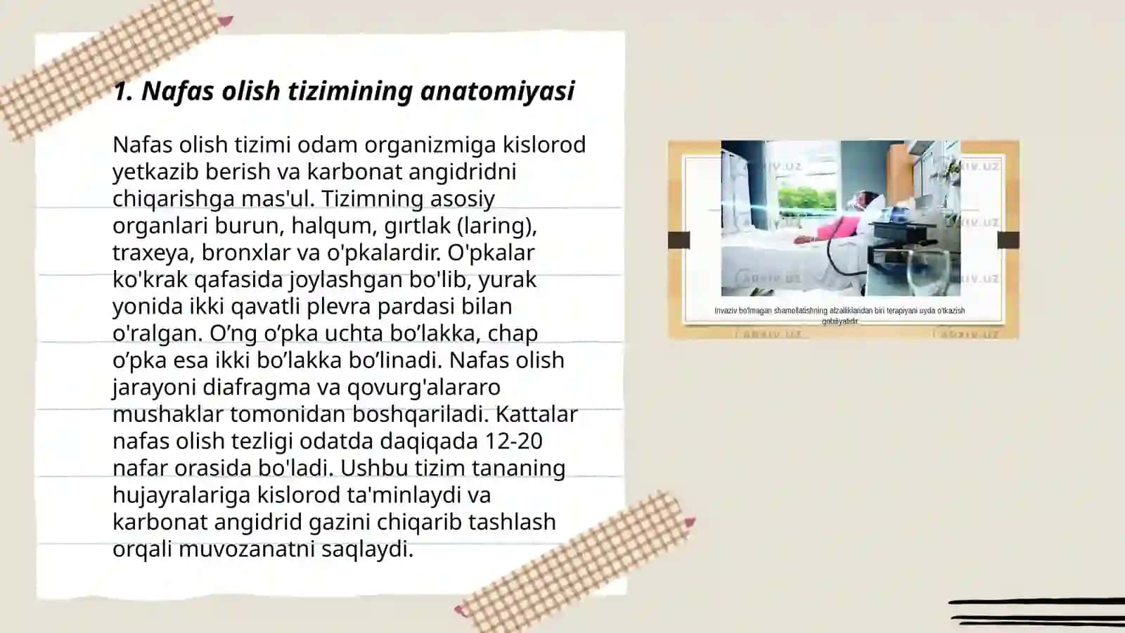 Nafas olish tizimi 3