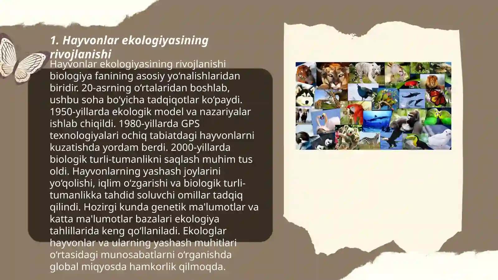 Hayvonlar ekologiyasining umumiy ekogik rivojlanishdagi tarxiy ahamiyati 3