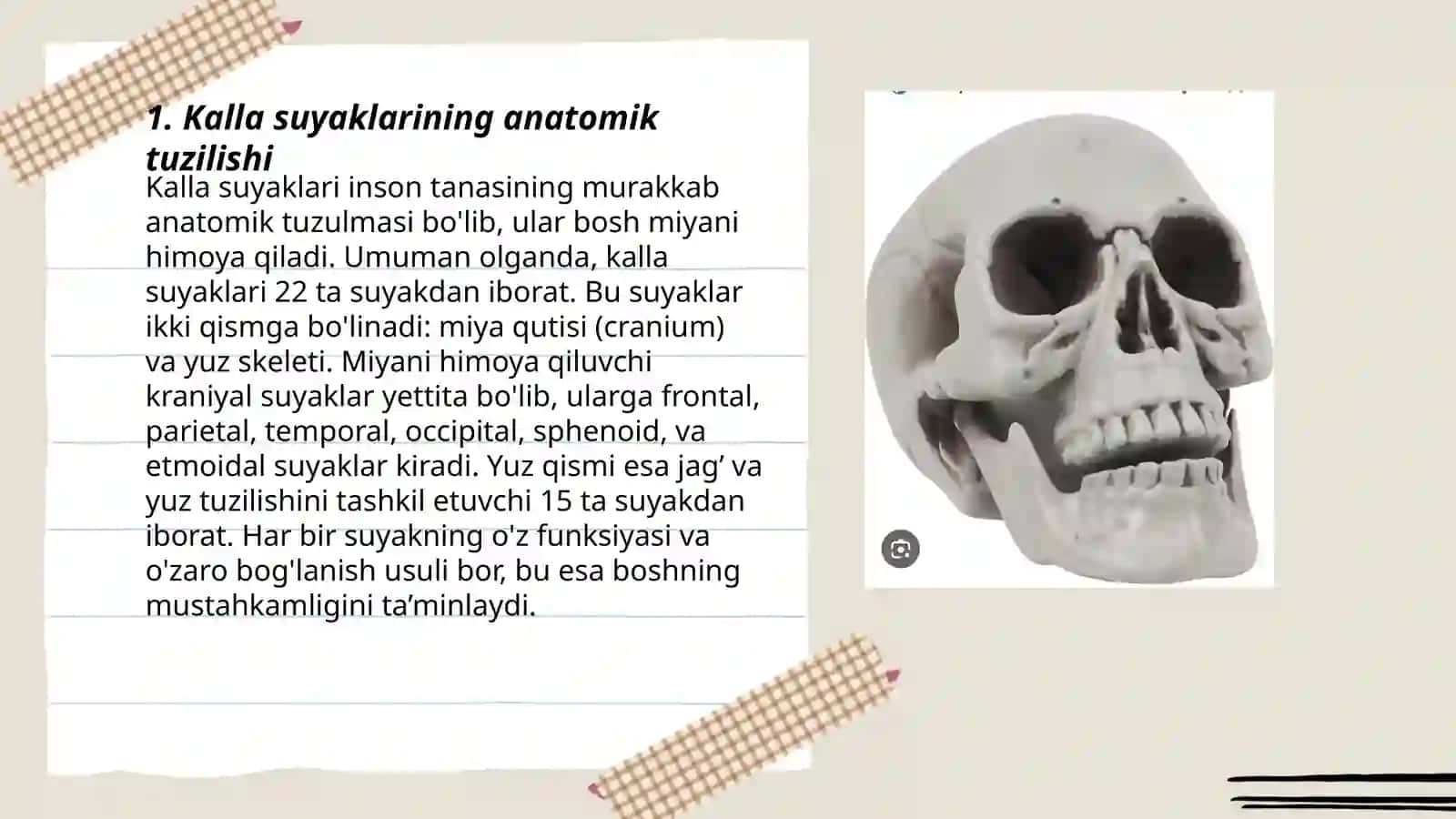 Kalla suyaklarining bo‘shliq va chuqurlari 3