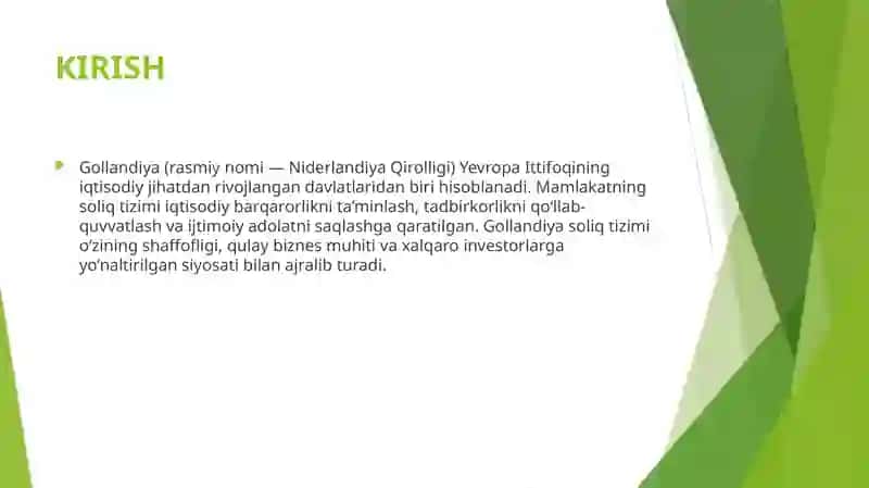 Gollandiya (Niderlandiya) Soliq Tizimi 3