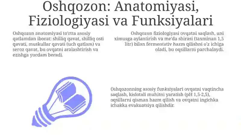 Oshqozon: Anatomiyasi, Fiziologiyasi va Funksiyalari 3