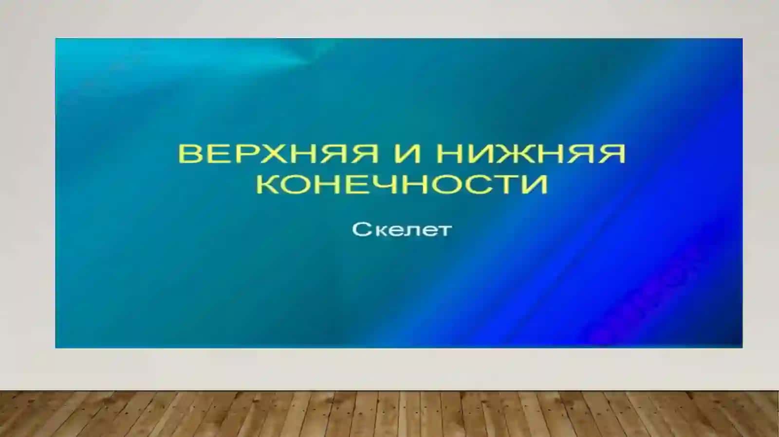 Развитый верхный и нежный конечност и их фактри 3
