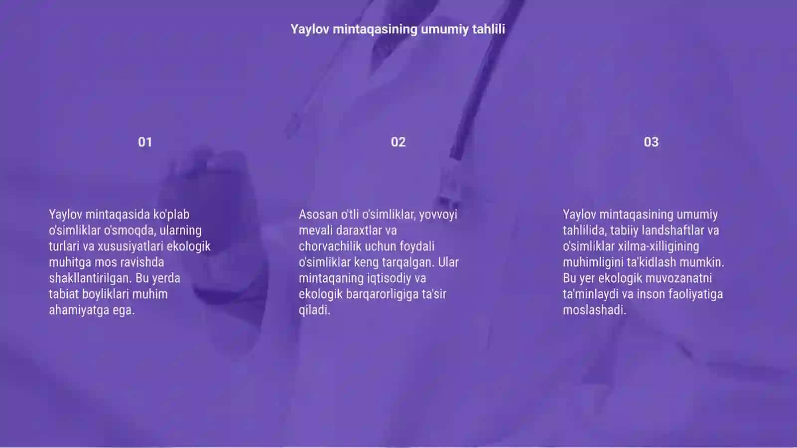 Yaylov mintaqasida keng tarqalgan o'simliklar 3