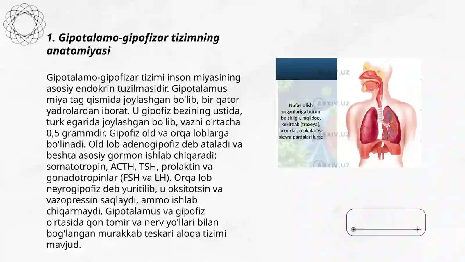 Endokrin bezlar fiziologiyasi 3