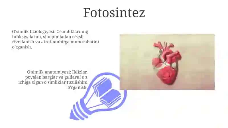 O‘simliklar anatomiyasi va fiziologiyasi 3